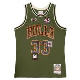 Mitchell & Ness Flight Scottie Pippen Chicago Bulls Swingman Jersey - Grün - Jersey